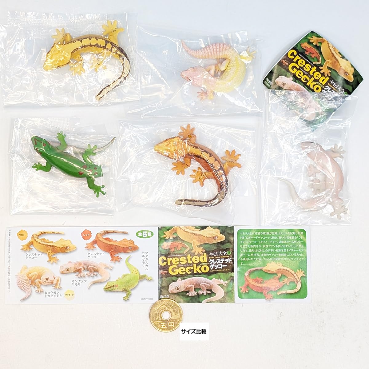 Amazon.co.jp: カプセルQ ヤモリ大全II クレステッドゲッコー